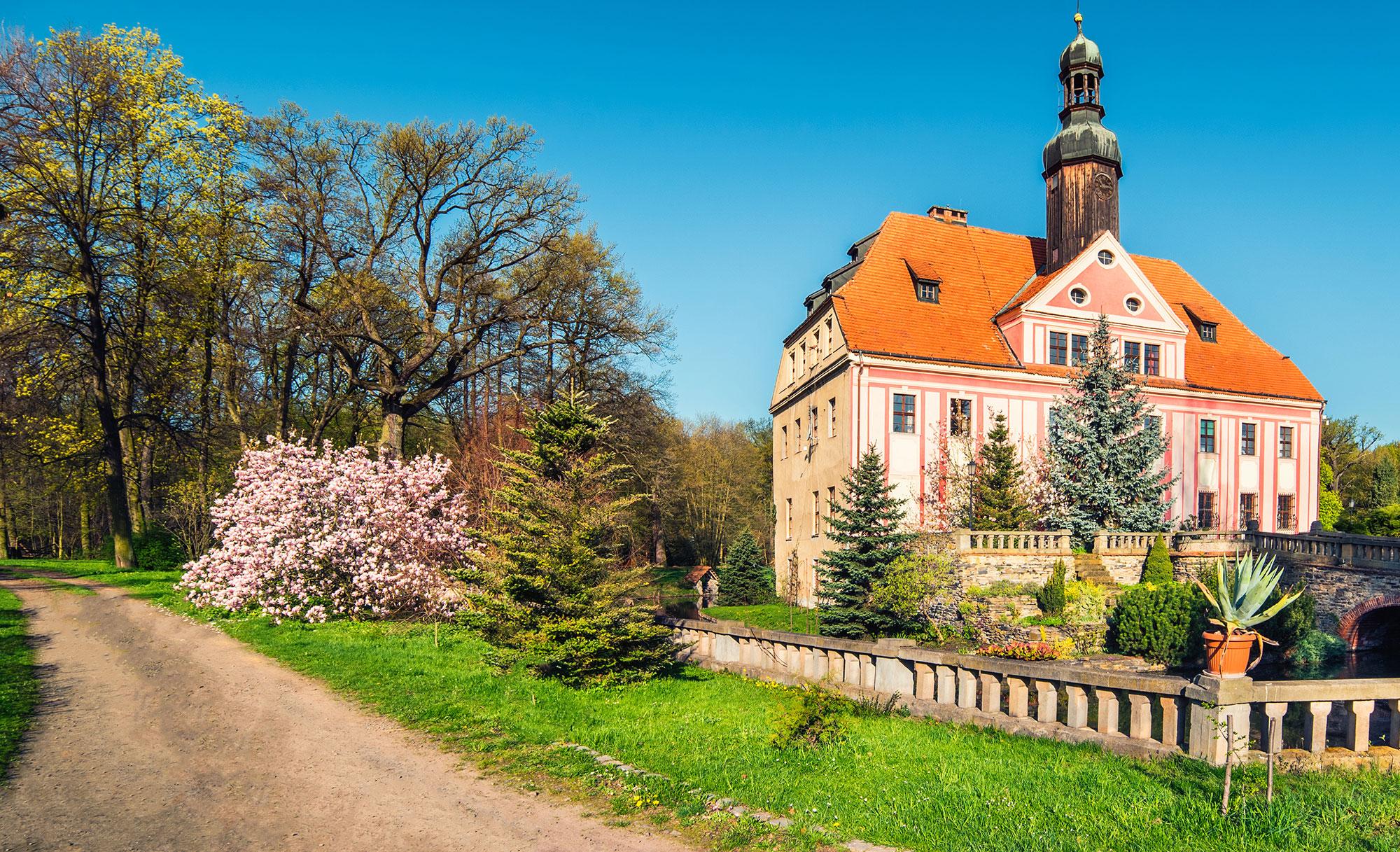 Schloss mit Uhrturm, blühende Magnolie und Allee zur Einfahrt