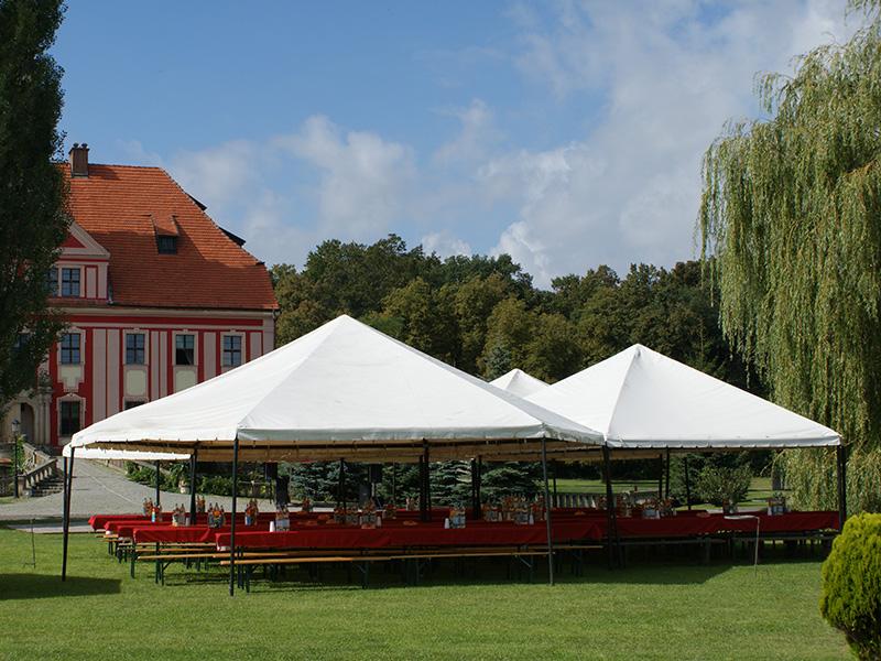 Picnic marquees on the lawn in front of the palace